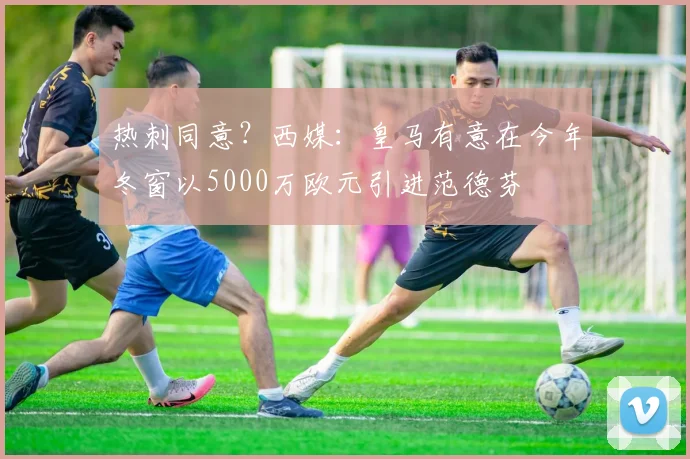 热刺同意？西媒：皇马有意在今年冬窗以5000万欧元引进范德芬